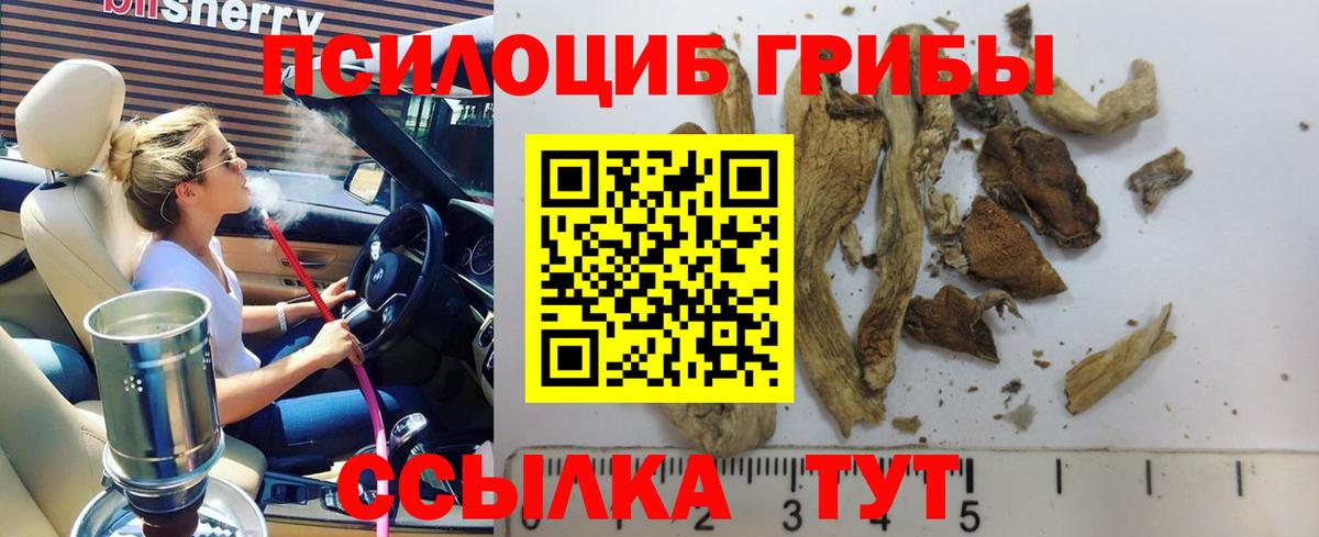 Псилоцибиновые грибы Psilocybe  Вход с VPN  Москва 