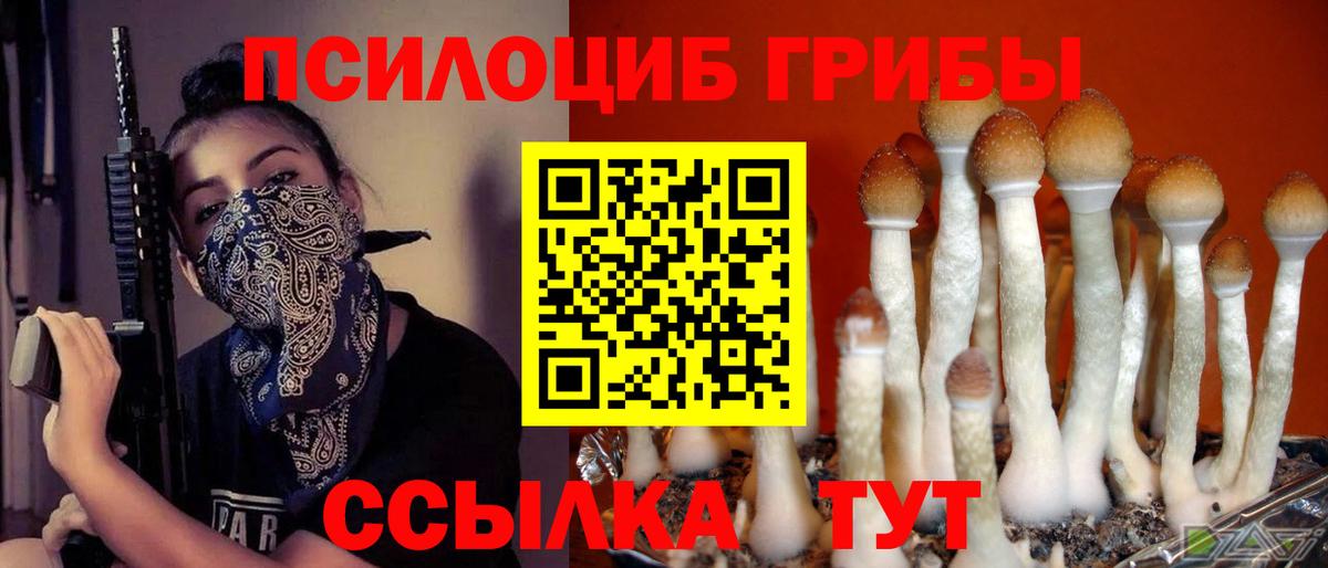 Галлюциногенные грибы мухоморы Москва